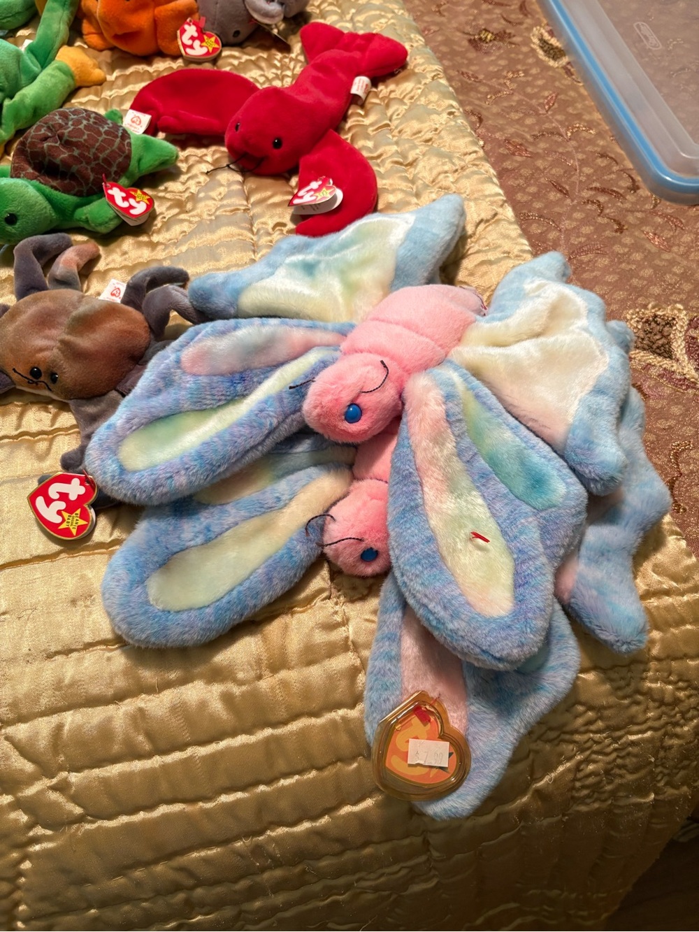 Bernie Babies - Picture 4 of 8